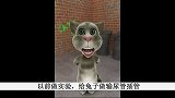 搞笑-20120327-汤姆猫咆哮体：2医学生