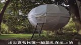 在树上安家，堪称户外神器，带上你的对象露营去吧
