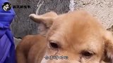 你招惹谁不好啊非要去掏马蜂窝