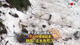 男子去爬山遇结冰，下山时楼梯超滑，这太危险了