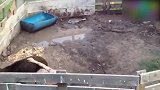 小男孩骑在野猪背上，野猪好像被定住一样，一动不动！