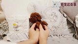 这个小狗真是最袖珍的了