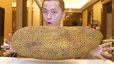 试吃世界上最大的水果菠萝蜜！这么大一个就只要65块