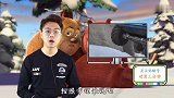 熊出没这三个疑问困扰了无数观众,有一个是熊为什么不冬眠呢