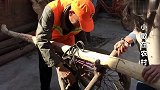 农村大爷发明拉粪神器不用油不用电一起来看看到底是什么东西