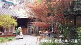 藏在成都老小区内的咖啡馆，有一整片紫藤花和七里香花墙！