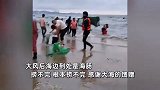 大风后烟台海边海肠大丰收，人们逆浪大捞特捞：到处都是，根本捞不完