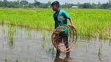户外抓鱼技巧，牛啊兄弟