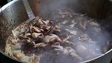 河南小伙做特殊小吃，号称动物界的人参，一天几百只不抗卖