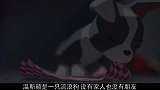 动画：流浪狗被男子领回家后放弃自己的美食，帮男子追寻幸福