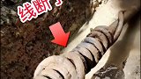 完蛋了，一下回到解放前了