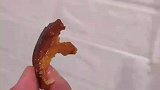 男子想拿肉皮引诱睡觉的狗狗，结果被狗狗一下识别