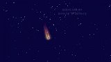 汪汪队：莱德带领狗狗看夜空，真是开心，大家也来加入吧