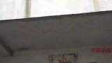 哥哥为了领养的弟弟打亲妹妹，哥哥说出实情后，妹妹知道自己错了