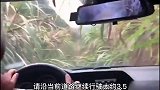 缺德地图，导航都给导地里边了，太坑了