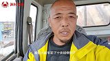 老桑雨后出虾，海鸥成群在虾池戏耍，可为啥虾农都膈应这些海鸟呢