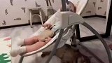 猫咪被迫帮忙带娃，看它那空洞的眼神
