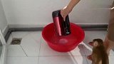 主人放水帮小猴子洗澡，看到满是泡泡的水很好奇，尝尝是什么味道