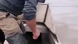 大哥河里捕巨鱼，工具竟然是斧子，真是太好笑了