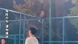 男子篮球场围栏上练倒立，看呆打球小伙