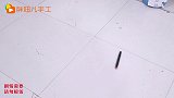 貂蝉乱丢画笔，胖妞用粘土做笔筒送给他，加上小兔子做装饰超好看