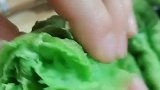蔬菜汁油条配方来袭
