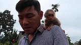 猴子总有伴了，一只小的好像是它的亲戚