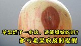苹果烂了一小块还能吃吗？多亏老果农及时提醒，看完以后别再瞎吃