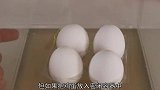 牛人实验，将鸡蛋放入真空当中，结果出乎意料