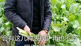一个女人的心被伤透了会有这几种表现！你赞同吗