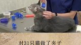你相信武松打虎是真的吗