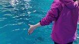 抖到蓬莱八仙过海 迎着风向前冲