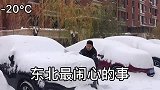 看看我们打东北是怎么扫车上雪的年度搞笑沙雕派对