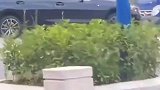 一看就是女司机