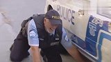 警察帮萝莉捡篮球，没想被车下狗狗咬住大声尖叫