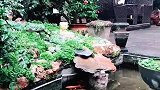 天青色等烟雨，而我在雨后的花园里等你！