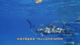 海洋恐怖“死亡冰柱”，从海面直入海底，所到之处万物皆亡！