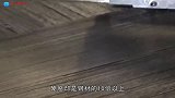 被日本垄断的黑科技，在中国却只卖白菜价，西方承认封锁失败！