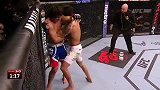 UFC-14年-UFC ON FOX12：阿雷奥拉vs特拉托集锦-精华