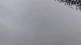 鹊桥以架好、坐等织女、祝大家七夕节快乐