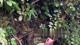 看似帮他，实则帮他