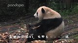 乔妹儿，看姐给你表演个节目！