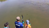 沼泽湖里成群的大鱼，瞄准就是一箭，瞬间收获惊喜