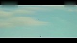 生活-瑞士喷气飞人-伊夫·罗西依靠喷气式飞行翼迪拜空中翱翔