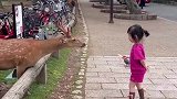 两位小可爱好有礼貌