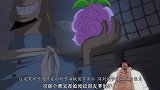 双果实太耀眼，海迷忘了黑胡子发家根本：体术，他比香克斯强