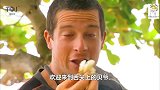 荒野：贝爷在荒岛求生，本以为会挨饿，他吃起了海鲜盛宴！