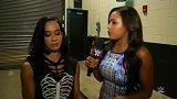 WWE-14年-RAW第1118期：后台采访 AJ李不知为何她们狗咬狗-花絮