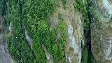 藏在石缝中的垂直天梯，你敢去攀爬吗？