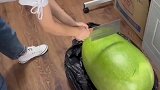 没看到切开后的景象，谁能想到这是个西瓜